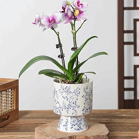 Elegant Blue and White Ceramic Planter with Pedestal – Hand-Painted Floral Motif Ideal for Desktop, Balcony, or Zen Room