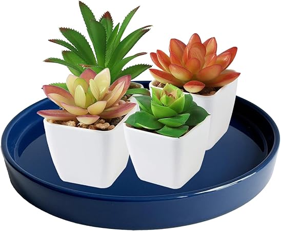 Round Blue Plastic Plant Saucer – 8.5" Top Diameter|Waterproof Drain Tray with Raised Edges|Fits Medium Flower Pots