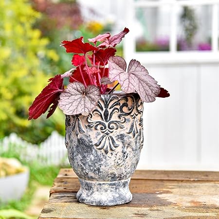 European Vintage Ceramic Planter with Embossed Design｜Antique Stone-Like Finish｜6.3" Diameter x 8.4" Tall Flower Pot for Indoor Use